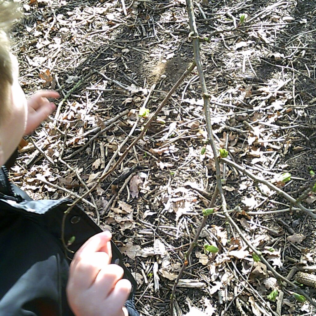 signs of spring
