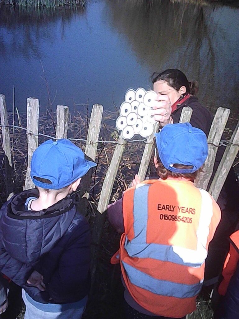 pond dipping